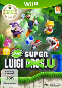 New Super Luigi U
