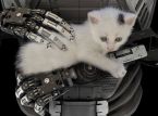اختارت إنتل عدم شراء أسهم في OpenAI