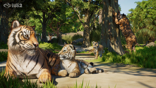 Planet Zoo 2 معاينة: تكملة طموحة ترفع من صيغة كوكب