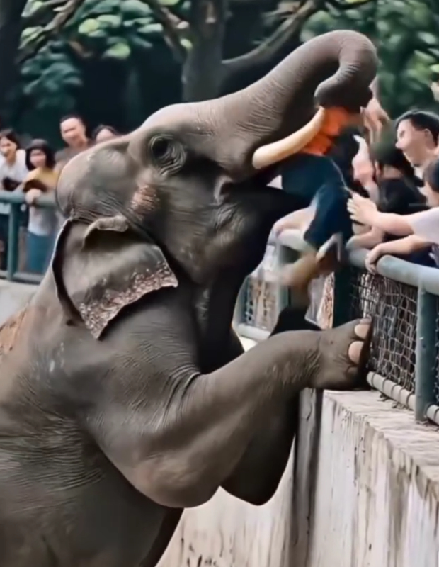 سئمت وتعبت من الذكاء الاصطناعي المقلد في وسائل التواصل الاجتماعي